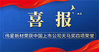 喜報(bào)！偉星新材榮獲天馬獎中國上市公司  “最佳投資者關(guān)系獎”等多項(xiàng)榮譽(yù)！