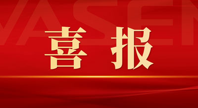 偉星新材榮獲“杰出IR企業(yè)”“杰出IR團隊”“最佳機構溝通獎”“資本品牌高價值企業(yè)”等榮譽！