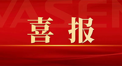 偉星新材榮獲2024年中國輕工業數字化轉型 “領跑者”