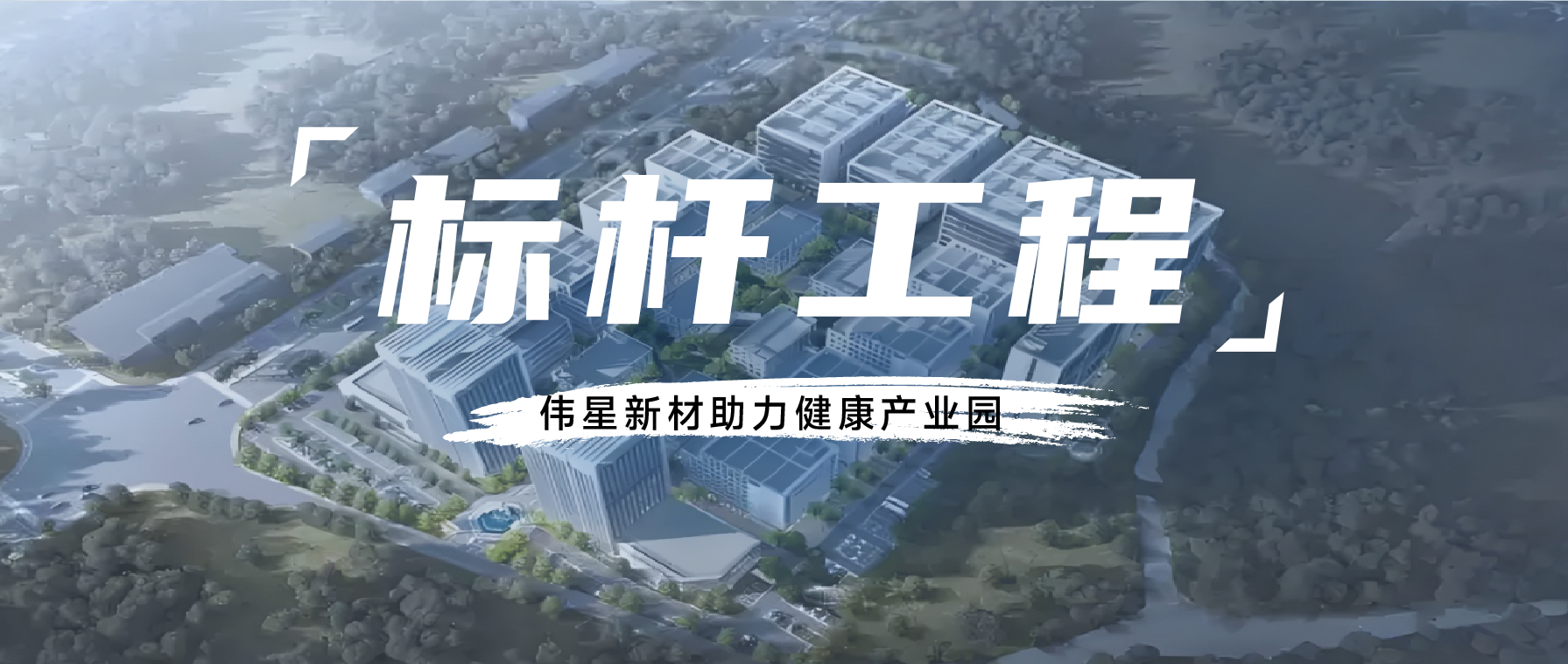 標桿工程丨護航健康產業園，“健康中國”規劃中的偉星方案